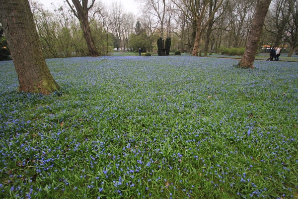 Fruehling   100.jpg